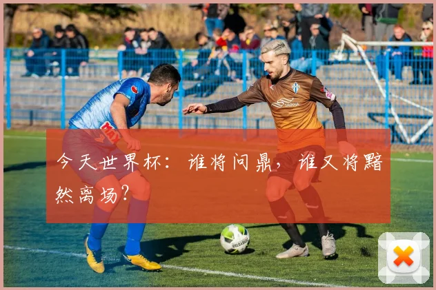 今天世界杯：谁将问鼎，谁又将黯然离场？